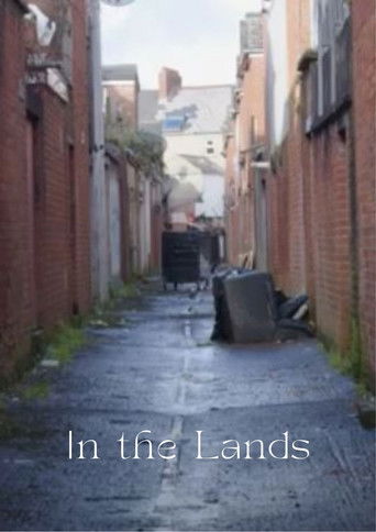 In the Lands poster