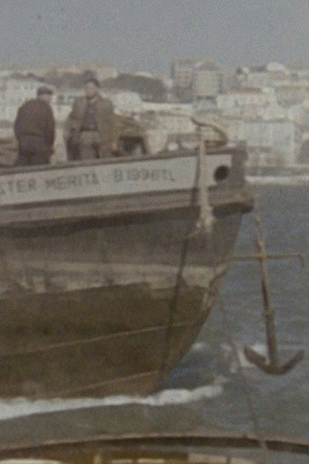 Movie poster for Tráfego e Estiva (1968)