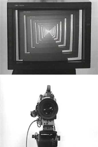 Movie poster for Observer / Observed (1975)
