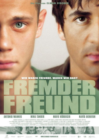 Movie poster for The Friend (2003)