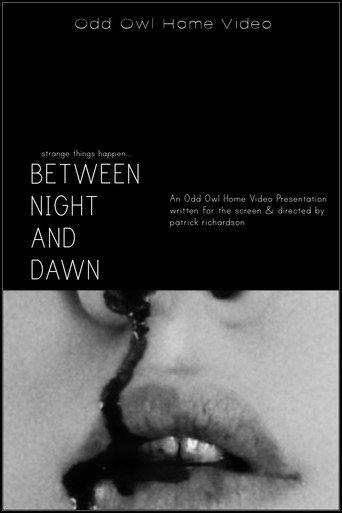 Movie poster for Between Night And Dawn (2024)