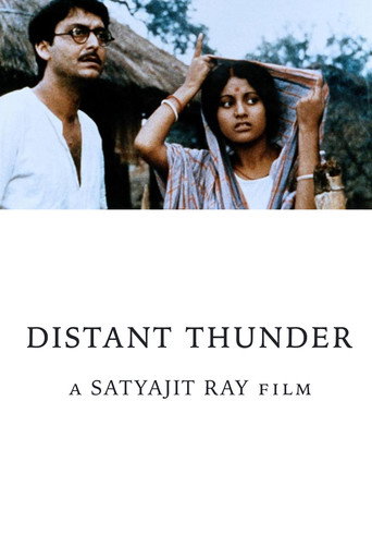 Movie poster for Distant Thunder (1973)
