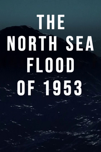 Movie poster for The North Sea Flood of 1953 (2023)