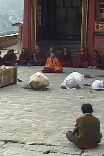 Movie poster for Sky Burial: A Tibetan Death Ritual (2005)