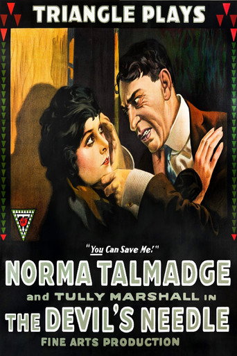 Movie poster for The Devil's Needle (1916)