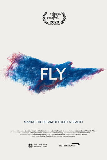 Movie poster for Fly (2019)