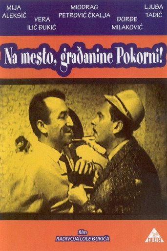 Citizen Pokorni poster