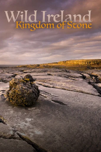 Movie poster for Wild Ireland: Kingdom of Stone (2024)