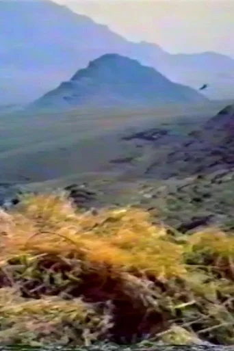 Movie poster for Think of the Kind Mountain (1995)