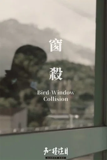 Movie poster for Bird-Window Collisions (2023)
