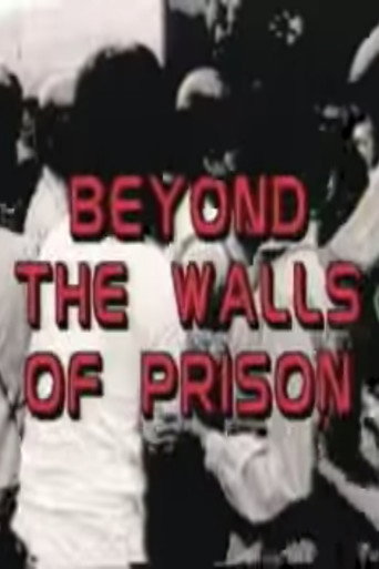 Movie poster for Beyond the Walls of Prison (1987)