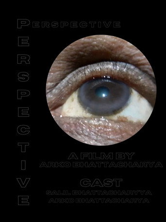 Movie poster for Perspective (2020)