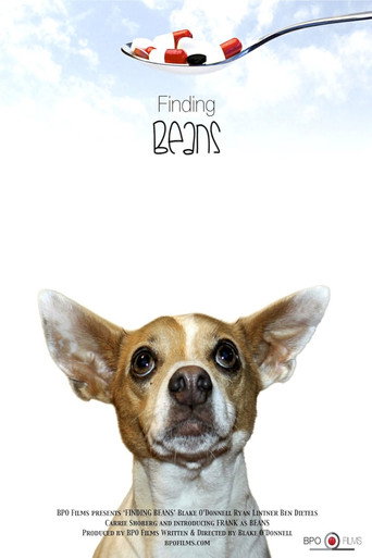 Movie poster for Finding Beans