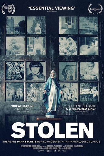 Movie poster for Stolen (2023)