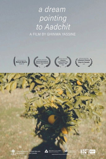 Movie poster for A Dream Pointing to Aadchit (2025)