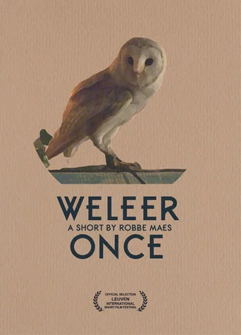 Movie poster for Once (2015)