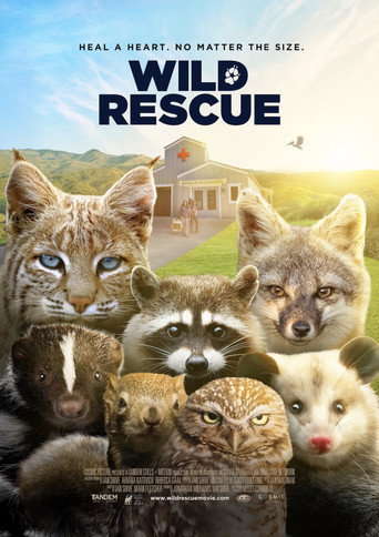 Movie poster for Wild Rescue (2025)