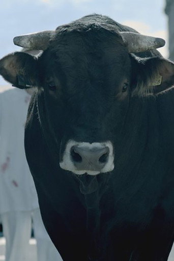 Movie poster for The Bull (2019)