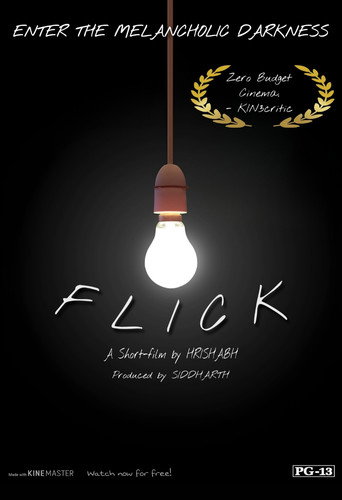 Movie poster for The Flick (2024)