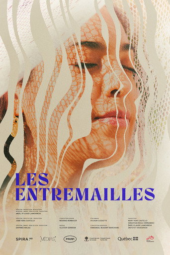 Movie poster for Interwoven (2022)