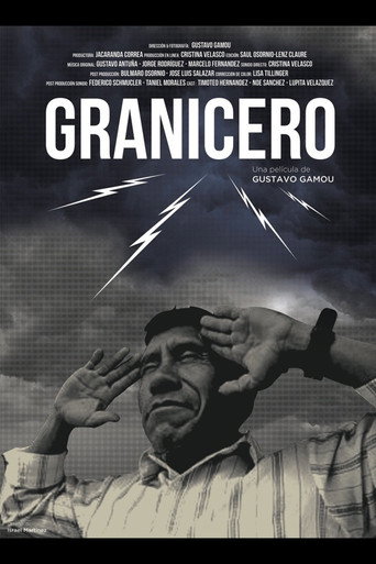 Movie poster for Granicero (2011)