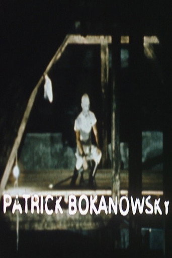 Movie poster for A Creator of the Imaginary: Patrick Bokanowski - Short Film (1977)