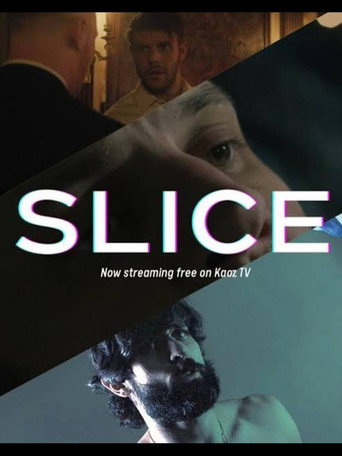 Movie poster for Slice (2024)