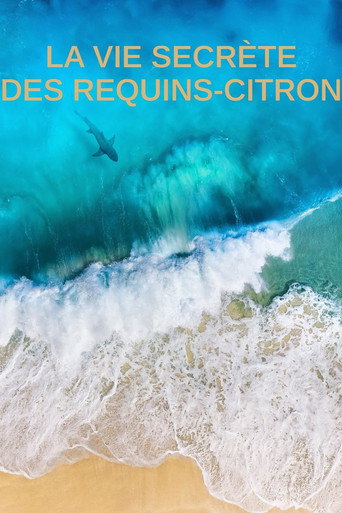 Movie poster for La vie secrète des requins citron (2021)