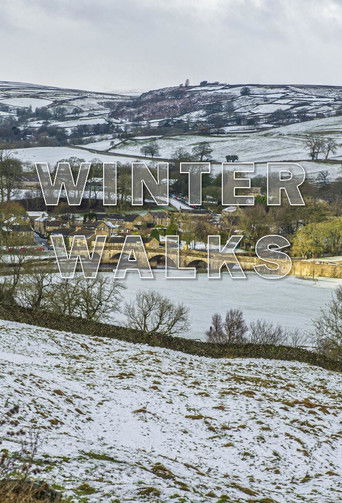 Winter Walks poster