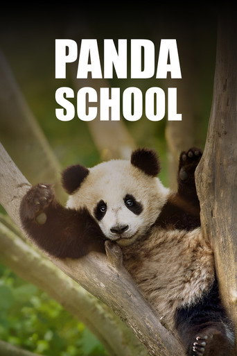 Series poster for Panda School (2026)