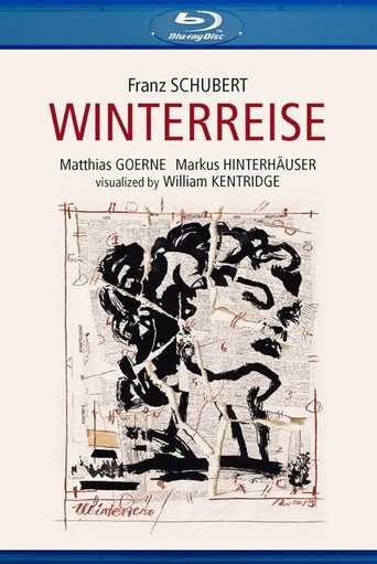 Movie poster for Schubert: Winterreise (2017)