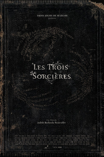 Les Trois Sorcières poster