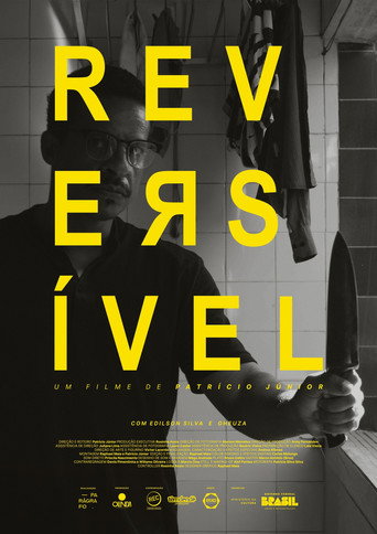 Movie poster for Reversível