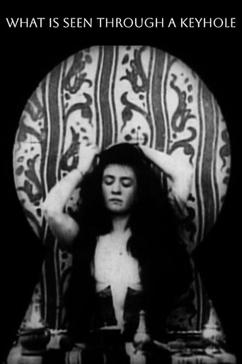 Movie poster for What Happened to the Inquisitive Janitor (1901)