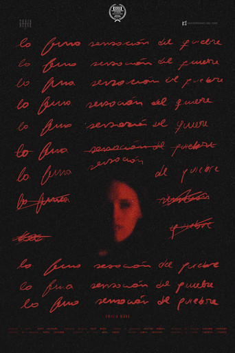 Movie poster for La fina sensación del quiebre (2026)