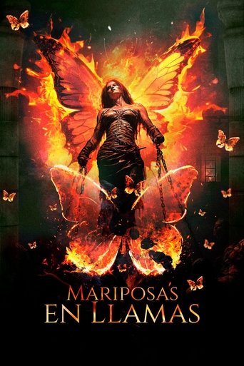 Burning Butterflies poster