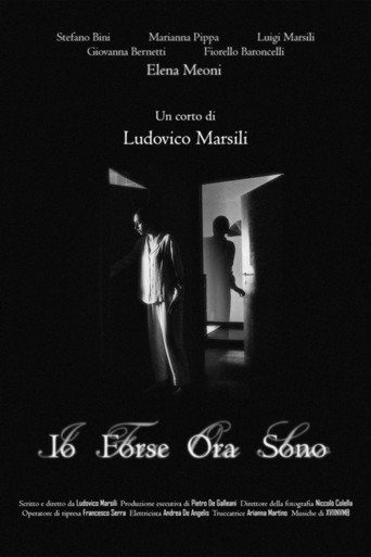 Movie poster for Io Forse Ora Sono (2024)