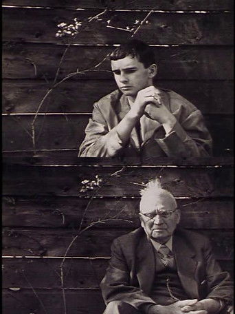 Filmmaker's Holiday poster