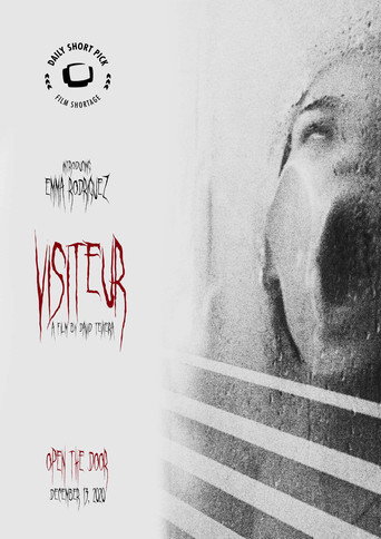 Movie poster for Visitor (2020)