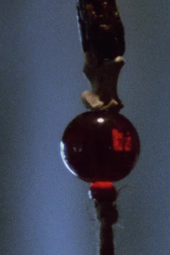 Movie poster for Pan 1 (1974)