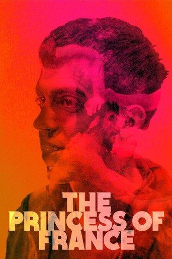 The Princess of France poster