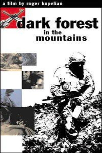 Movie poster for Dark Forest in the Moutains (2002)