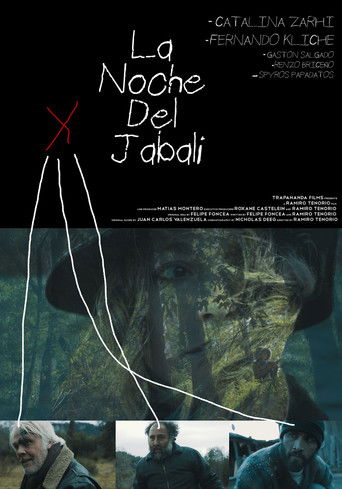 The Night Of The Wild Boar poster