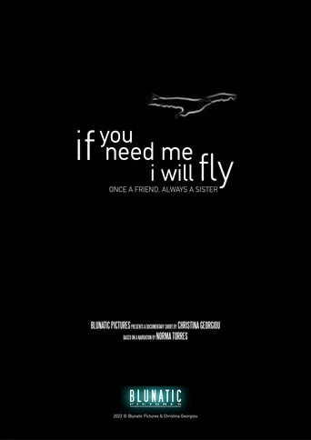 Movie poster for If You Need Me, I Will Fly (2023)