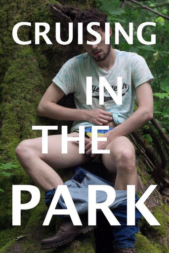 Movie poster for Cruising in the Park (2018)