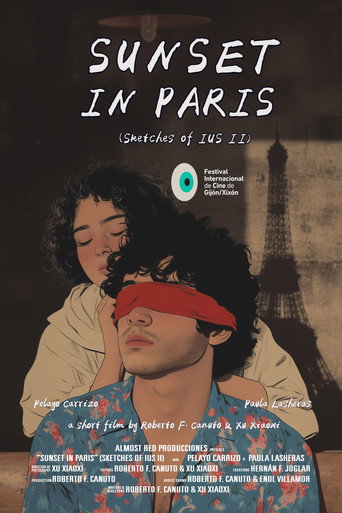 Movie poster for Sunset in Paris (2024)