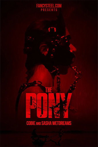 Movie poster for The Pony 2