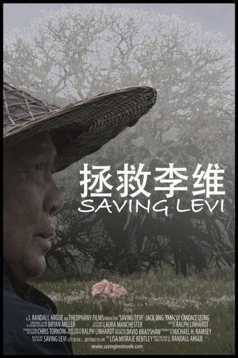 Saving Levi poster