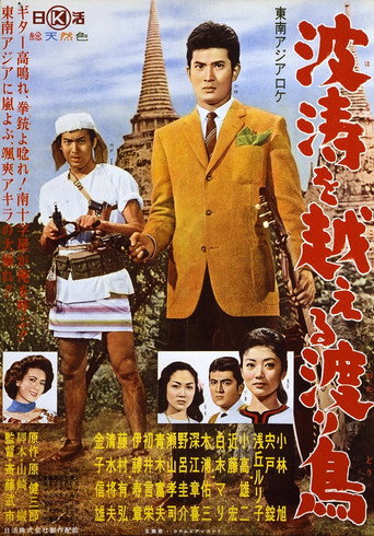 Movie poster for The Rambler under the Southern Cross (1961)