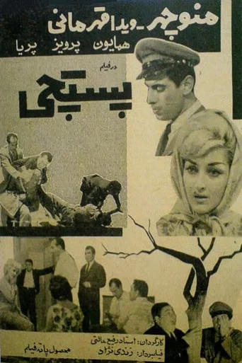 Movie poster for The Postman (1961)